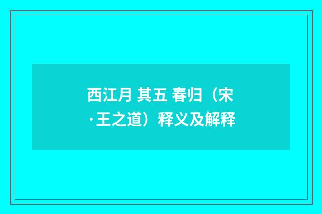 西江月 其五 春归（宋·王之道）释义及解释