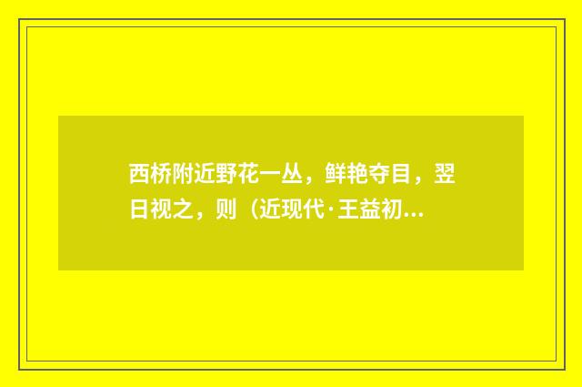 西桥附近野花一丛，鲜艳夺目，翌日视之，则（近现代·王益初）释义及解释