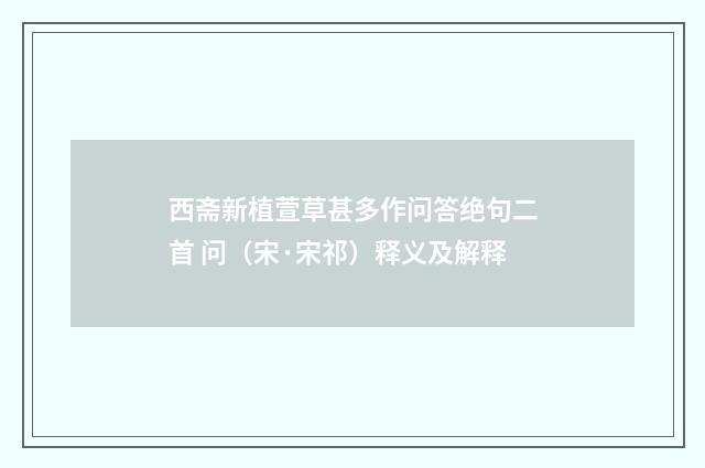 西斋新植萱草甚多作问答绝句二首 问（宋·宋祁）释义及解释