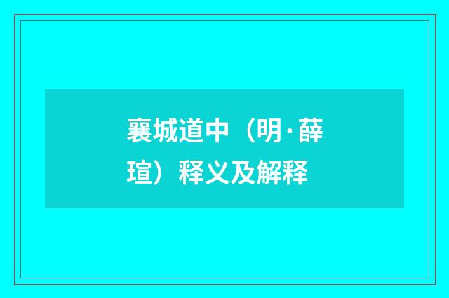 襄城道中（明·薛瑄）释义及解释