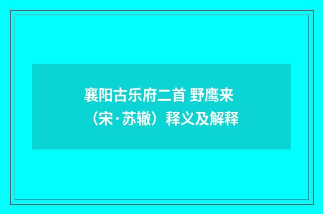 襄阳古乐府二首 野鹰来（宋·苏辙）释义及解释