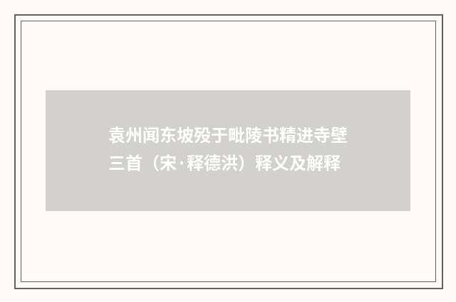 袁州闻东坡殁于毗陵书精进寺壁三首（宋·释德洪）释义及解释