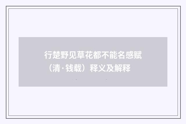 行楚野见草花都不能名感赋（清·钱载）释义及解释