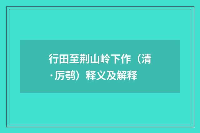 行田至荆山岭下作（清·厉鹗）释义及解释