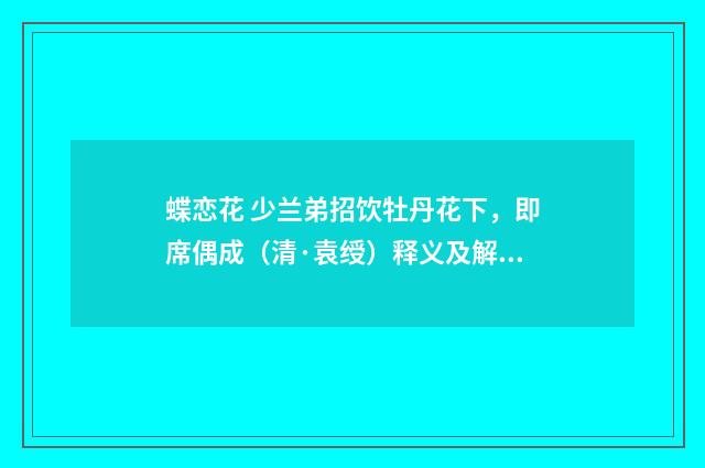 蝶恋花 少兰弟招饮牡丹花下，即席偶成（清·袁绶）释义及解释