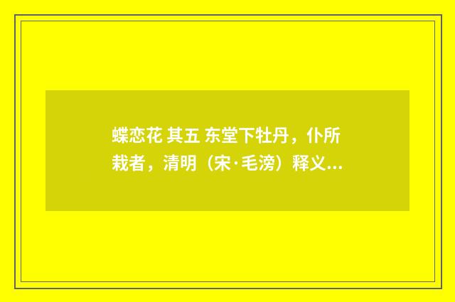 蝶恋花 其五 东堂下牡丹，仆所栽者，清明（宋·毛滂）释义及解释