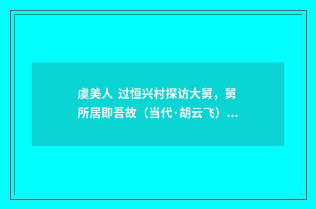 虞美人 过恒兴村探访大舅，舅所居即吾故（当代·胡云飞）释义及解释