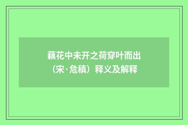 藕花中未开之荷穿叶而出（宋·危稹）释义及解释
