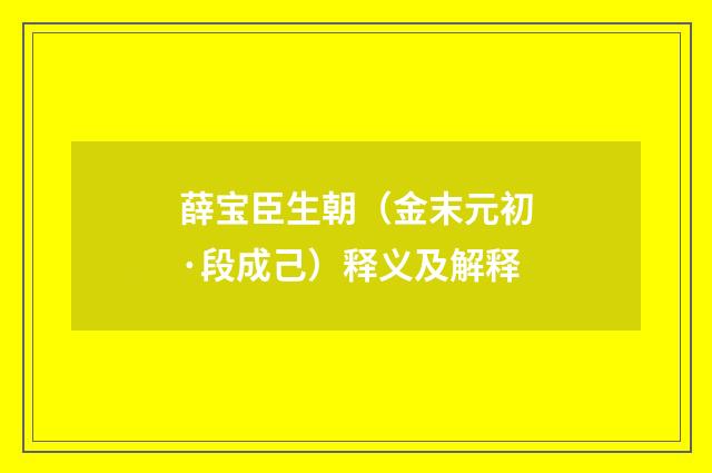 薛宝臣生朝（金末元初·段成己）释义及解释