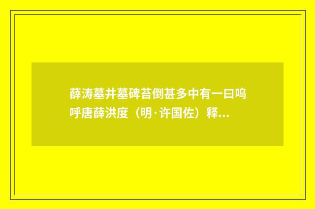 薛涛墓井墓碑苔倒甚多中有一曰呜呼唐薛洪度（明·许国佐）释义及解释