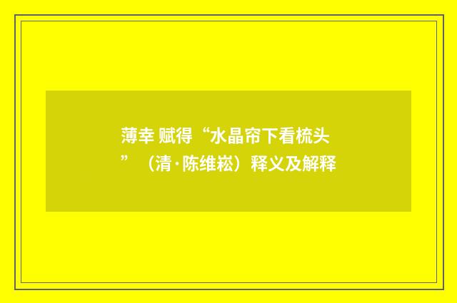 薄幸 赋得“水晶帘下看梳头”（清·陈维崧）释义及解释