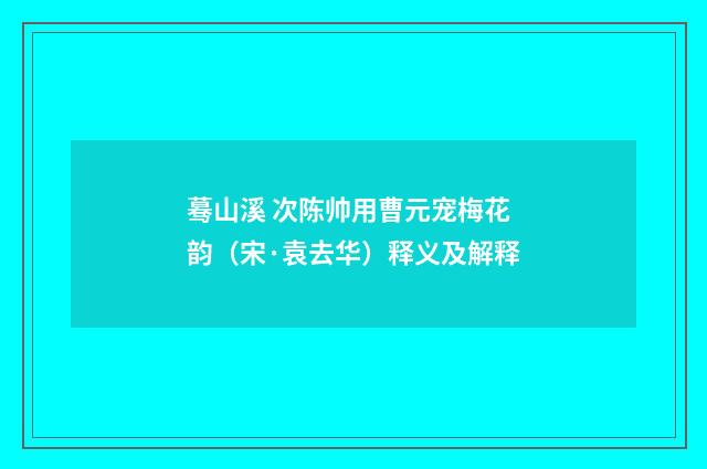 蓦山溪 次陈帅用曹元宠梅花韵（宋·袁去华）释义及解释
