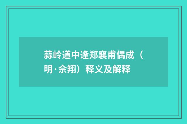 蒜岭道中逢郑襄甫偶成（明·佘翔）释义及解释