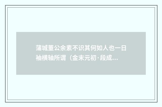 蒲城董公余素不识其何如人也一日袖横轴所谓（金末元初·段成己）释义及解释