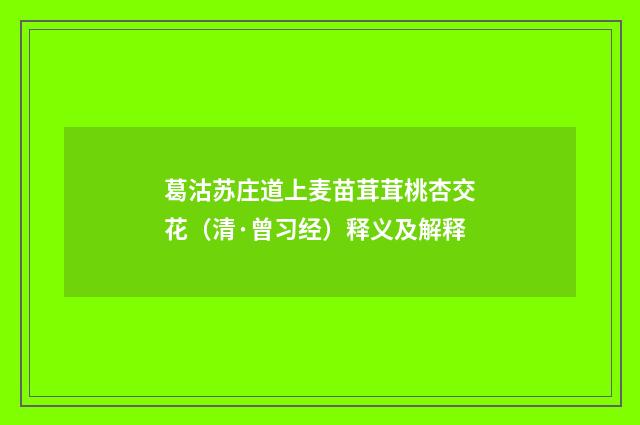葛沽苏庄道上麦苗茸茸桃杏交花（清·曾习经）释义及解释