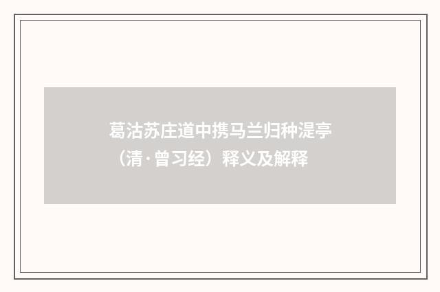 葛沽苏庄道中携马兰归种湜亭（清·曾习经）释义及解释