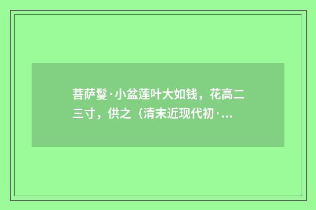 菩萨鬘·小盆莲叶大如钱，花高二三寸，供之（清末近现代初·潘飞声）释义及解释