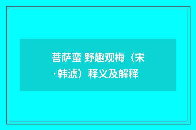 菩萨蛮 野趣观梅（宋·韩淲）释义及解释