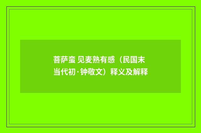 菩萨蛮 见麦熟有感（民国末当代初·钟敬文）释义及解释