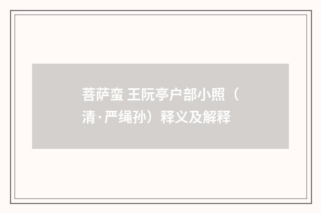菩萨蛮 王阮亭户部小照（清·严绳孙）释义及解释