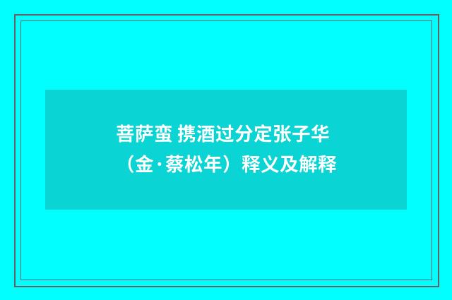 菩萨蛮 携酒过分定张子华（金·蔡松年）释义及解释