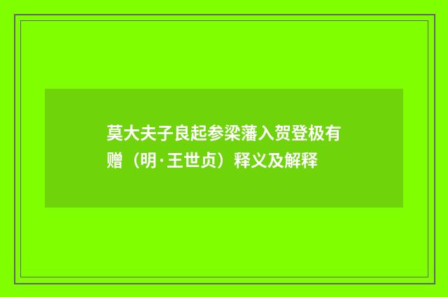 莫大夫子良起参梁藩入贺登极有赠（明·王世贞）释义及解释