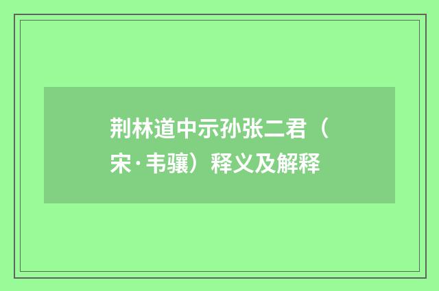 荆林道中示孙张二君（宋·韦骧）释义及解释