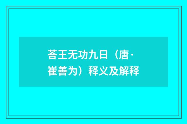 荅王无功九日（唐·崔善为）释义及解释