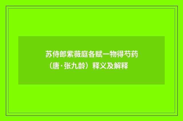 苏侍郎紫薇庭各赋一物得芍药（唐·张九龄）释义及解释