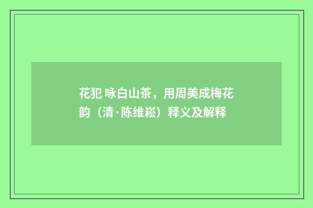 花犯 咏白山茶，用周美成梅花韵（清·陈维崧）释义及解释
