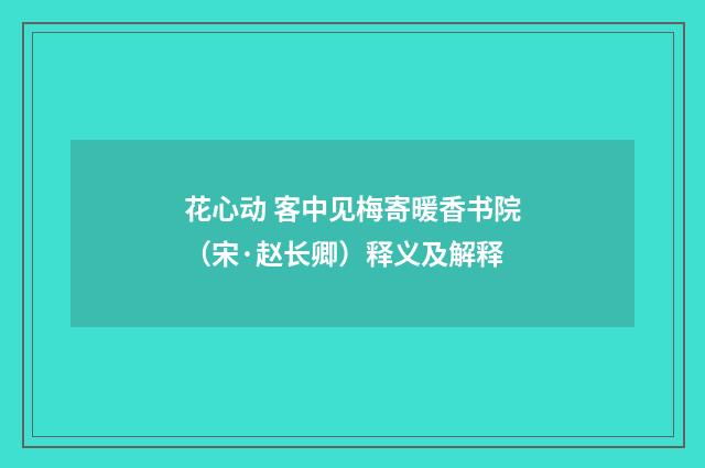 花心动 客中见梅寄暖香书院（宋·赵长卿）释义及解释