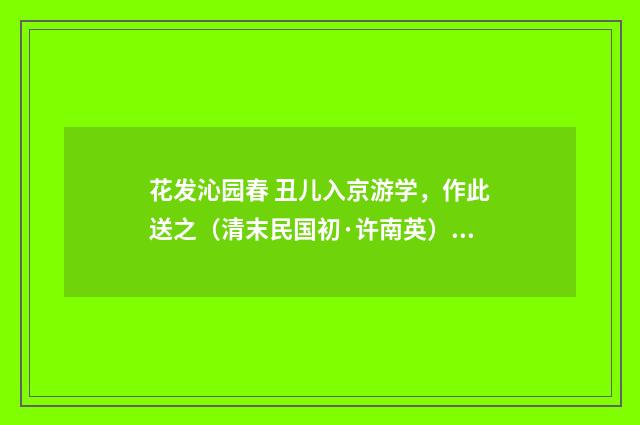 花发沁园春 丑儿入京游学，作此送之（清末民国初·许南英）释义及解释