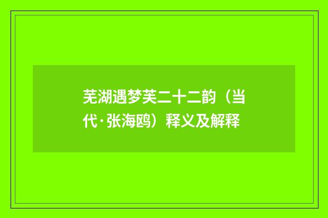 芜湖遇梦芙二十二韵（当代·张海鸥）释义及解释