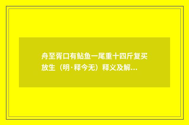 舟至胥口有鲇鱼一尾重十四斤复买放生（明·释今无）释义及解释