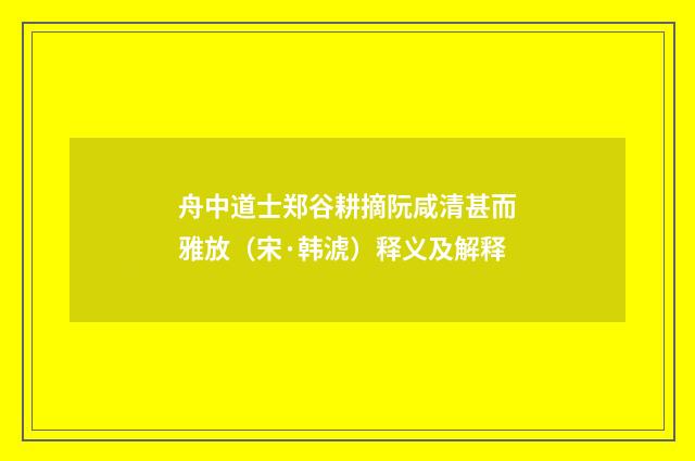 舟中道士郑谷耕摘阮咸清甚而雅放（宋·韩淲）释义及解释