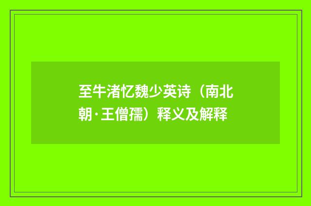 至牛渚忆魏少英诗（南北朝·王僧孺）释义及解释