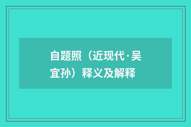 自题照（近现代·吴宜孙）释义及解释