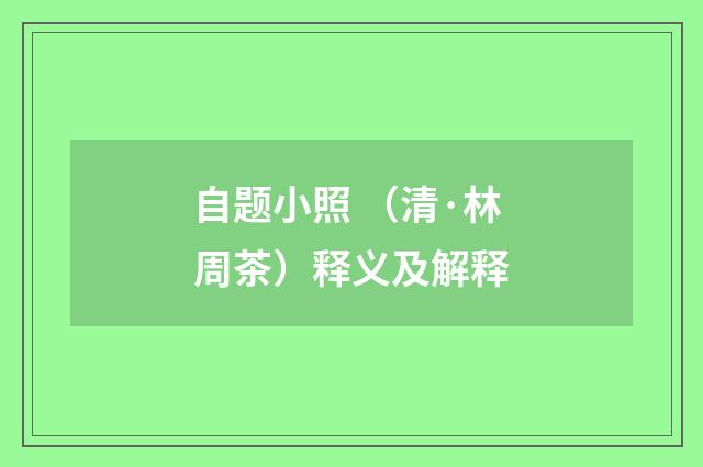 自题小照 （清·林周茶）释义及解释