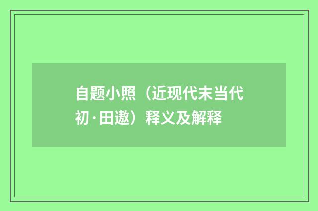 自题小照（近现代末当代初·田遨）释义及解释