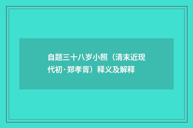 自题三十八岁小照（清末近现代初·郑孝胥）释义及解释