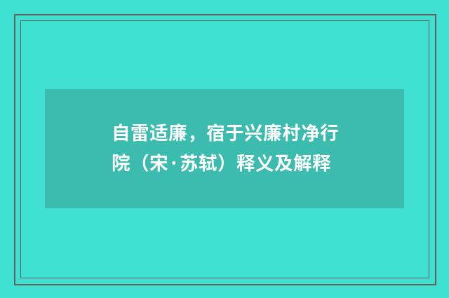 自雷适廉，宿于兴廉村净行院（宋·苏轼）释义及解释