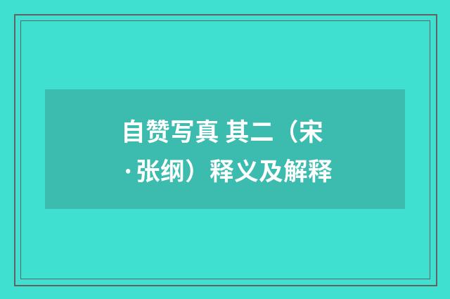 自赞写真 其二（宋·张纲）释义及解释