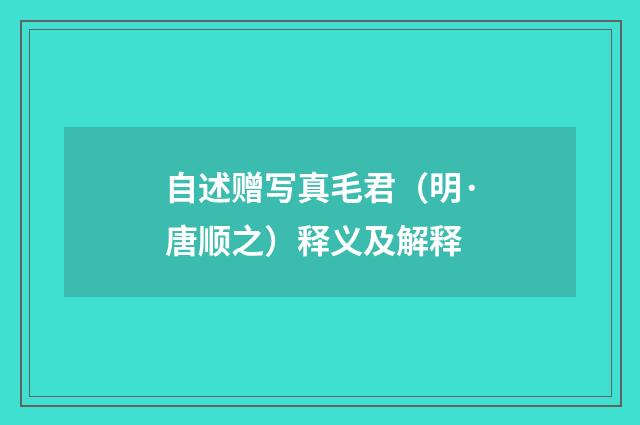 自述赠写真毛君（明·唐顺之）释义及解释