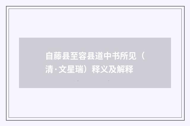 自藤县至容县道中书所见（清·文星瑞）释义及解释