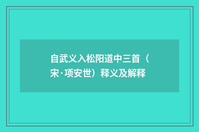 自武义入松阳道中三首（宋·项安世）释义及解释