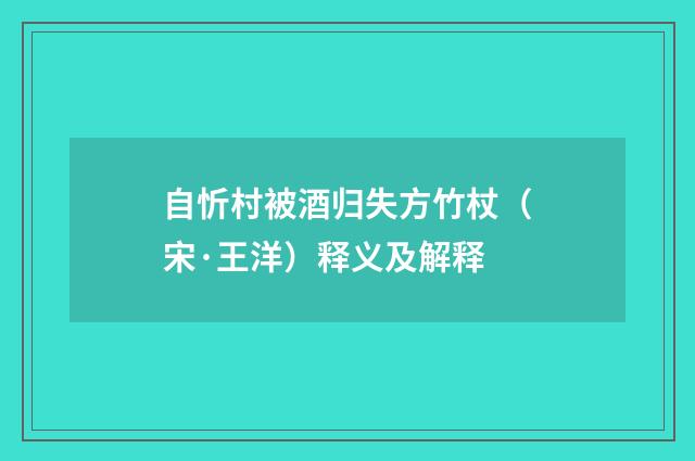 自忻村被酒归失方竹杖（宋·王洋）释义及解释
