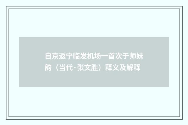 自京返宁临发机场一首次于师妹韵（当代·张文胜）释义及解释