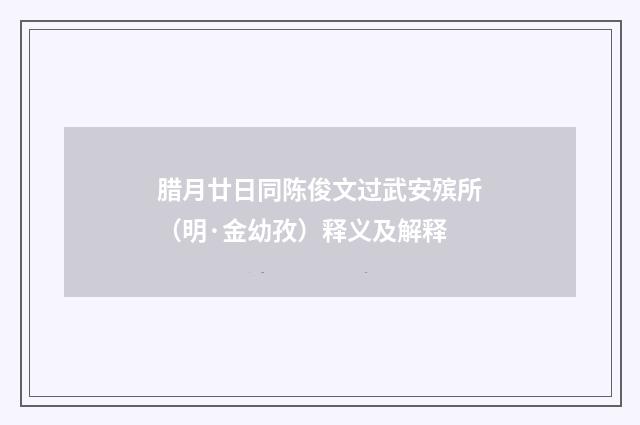 腊月廿日同陈俊文过武安殡所（明·金幼孜）释义及解释