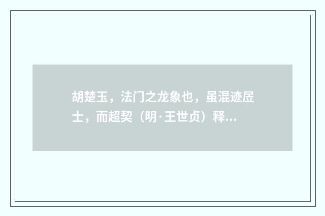 胡楚玉，法门之龙象也，虽混迹㞐士，而超契（明·王世贞）释义及解释