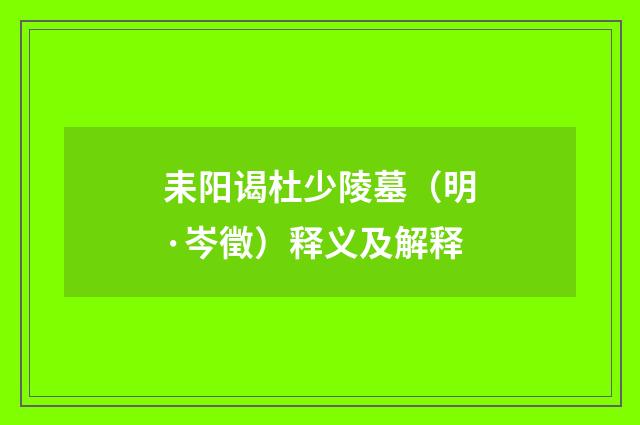 耒阳谒杜少陵墓（明·岑徵）释义及解释